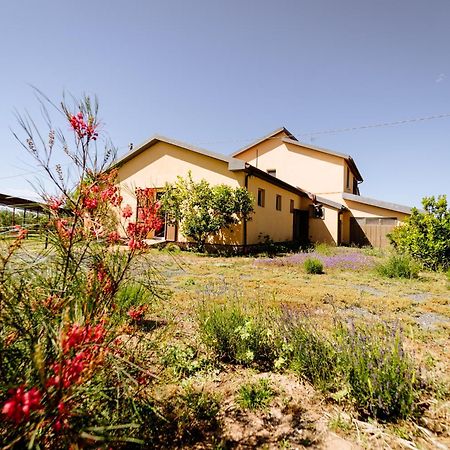 Agriturismo Bio Podere 109 - Wine&Food Alberese Eksteriør billede