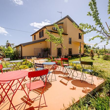 Agriturismo Bio Podere 109 - Wine&Food Alberese Eksteriør billede