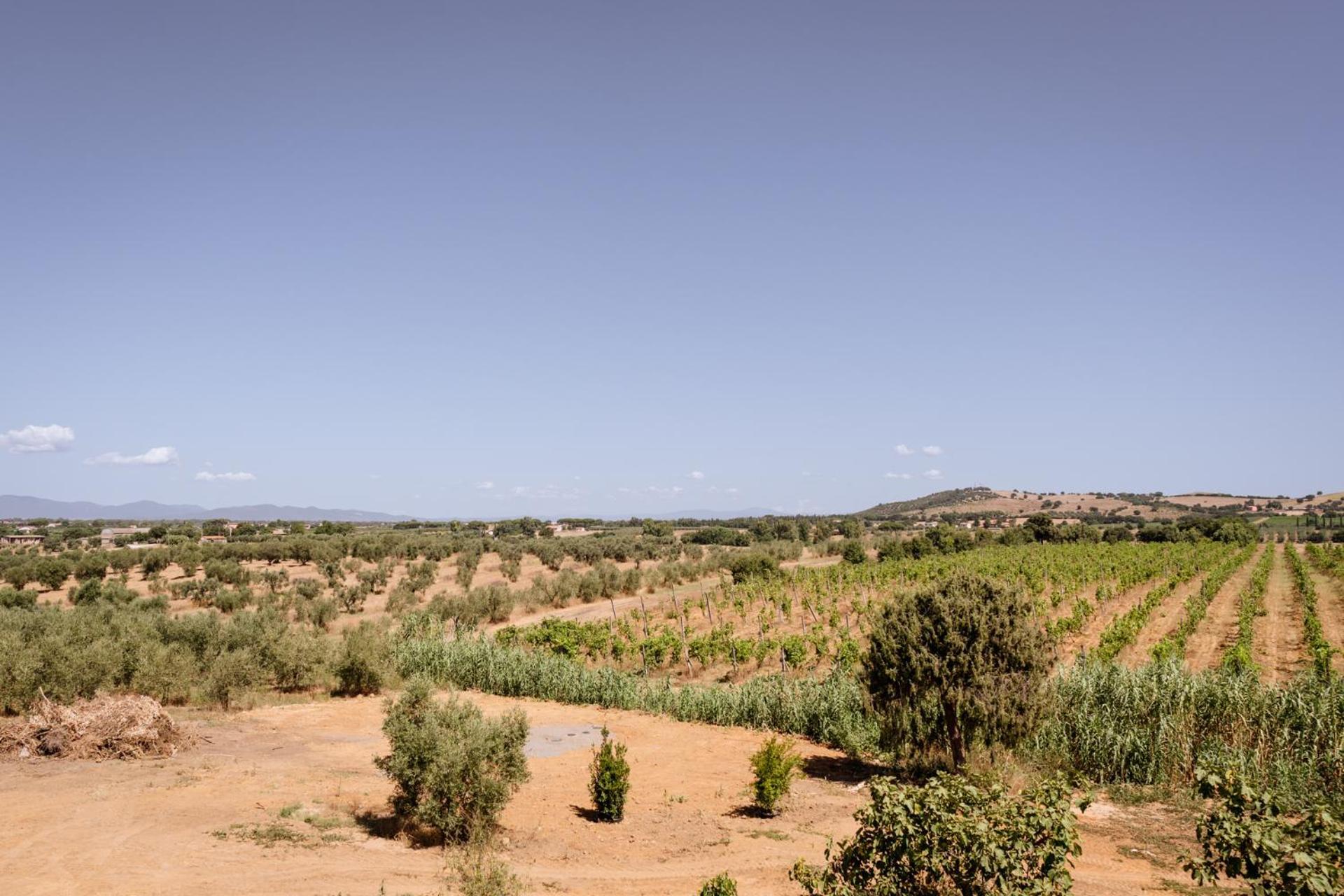 Agriturismo Bio Podere 109 - Wine&Food Alberese Eksteriør billede