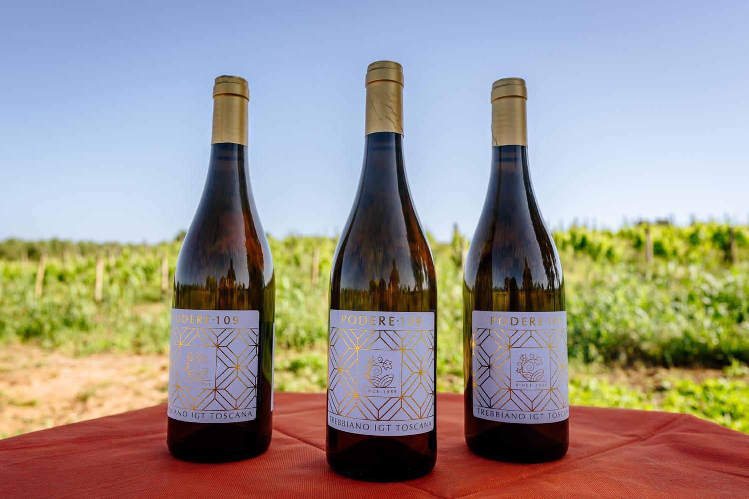 Agriturismo Bio Podere 109 - Wine&Food Alberese Eksteriør billede